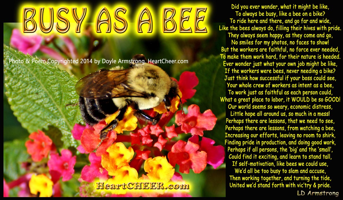 👍 Busy bee poem. Busy Bee Poetry. 20190221